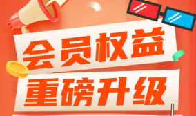 视频会员批发下单入口